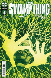 Swamp Thing #13 (Of 16) Cover A Mike Perkins